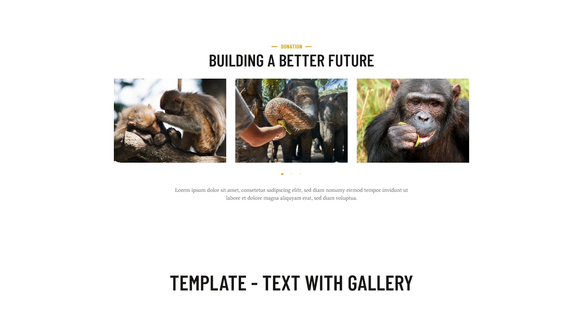 Block - text with gallery