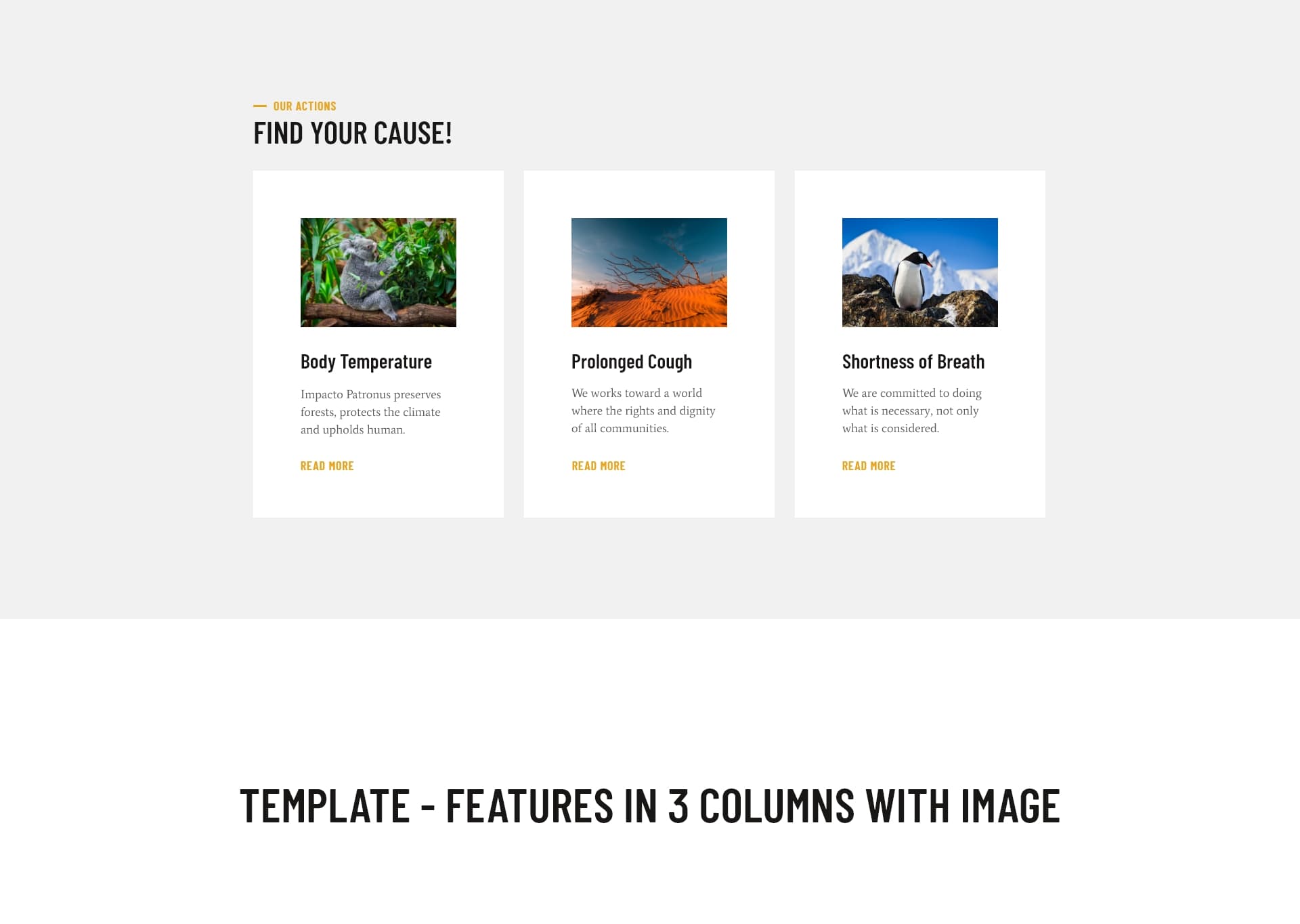 Block - features in 3 columns with image