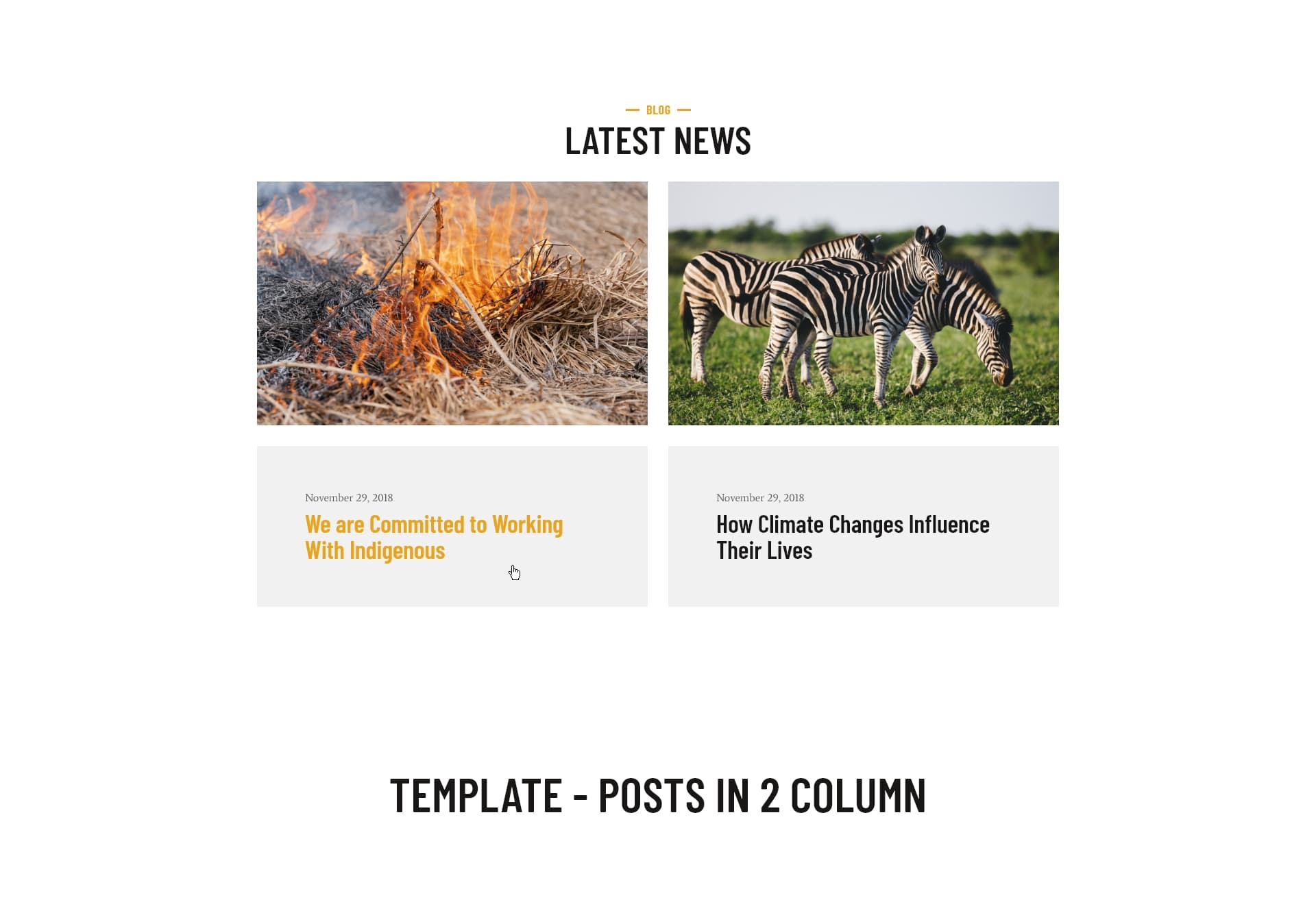 Block Template - posts in 2 column PRO