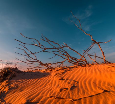 stunning-view-of-lonely-sand-dunes-PEHMLXP