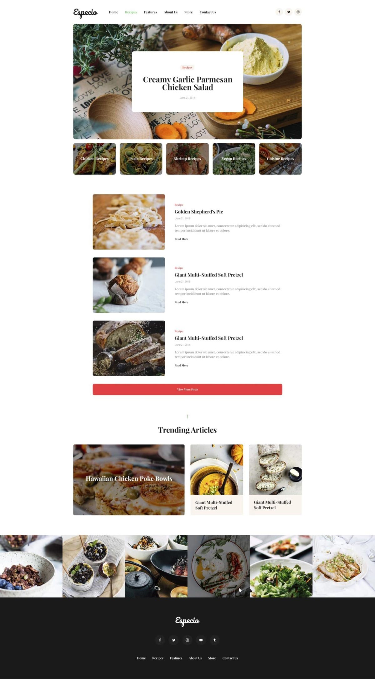 Templates – AxiomThemes Food Blog Template Kit