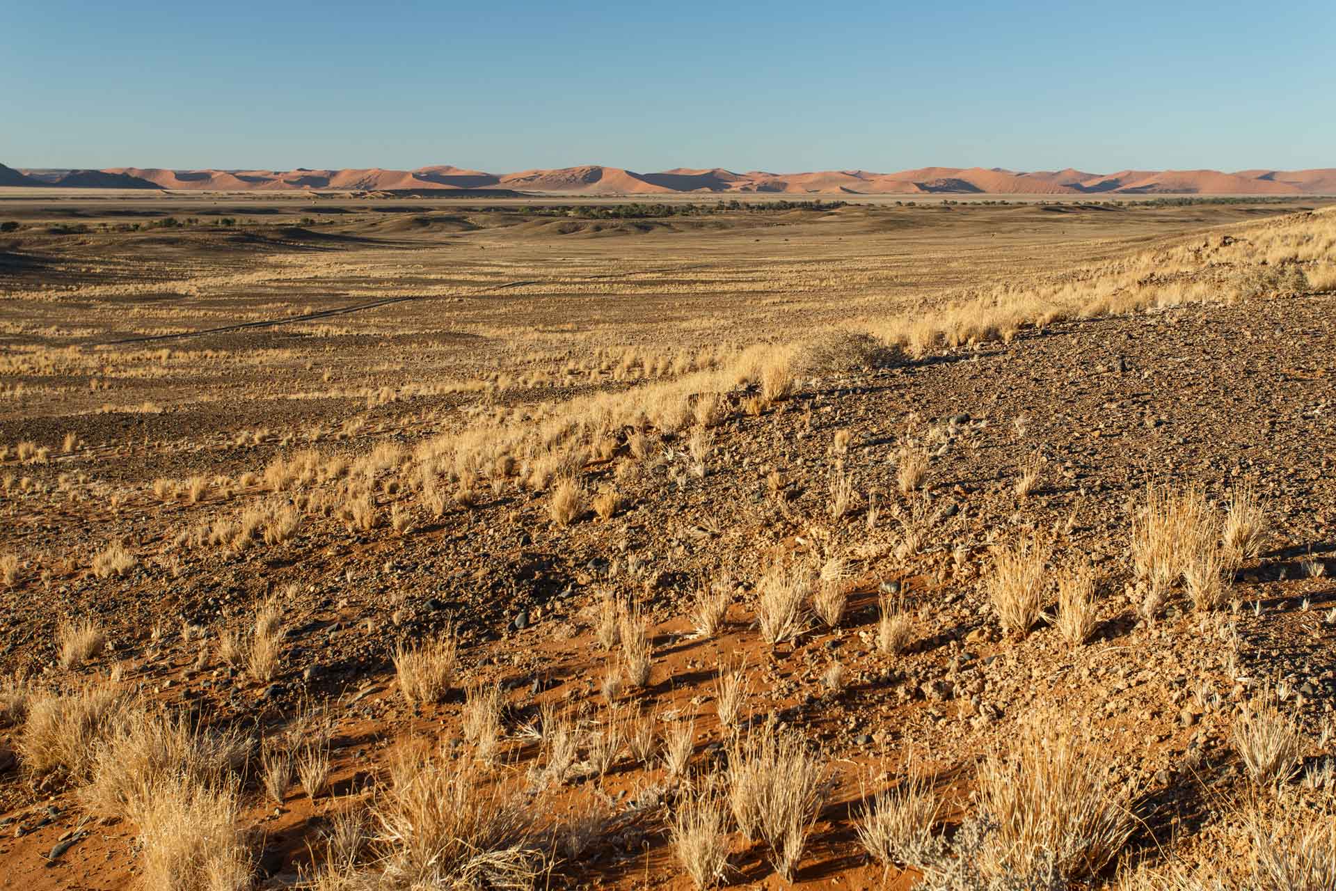 sossusvlei-namibia-7WZXLN3