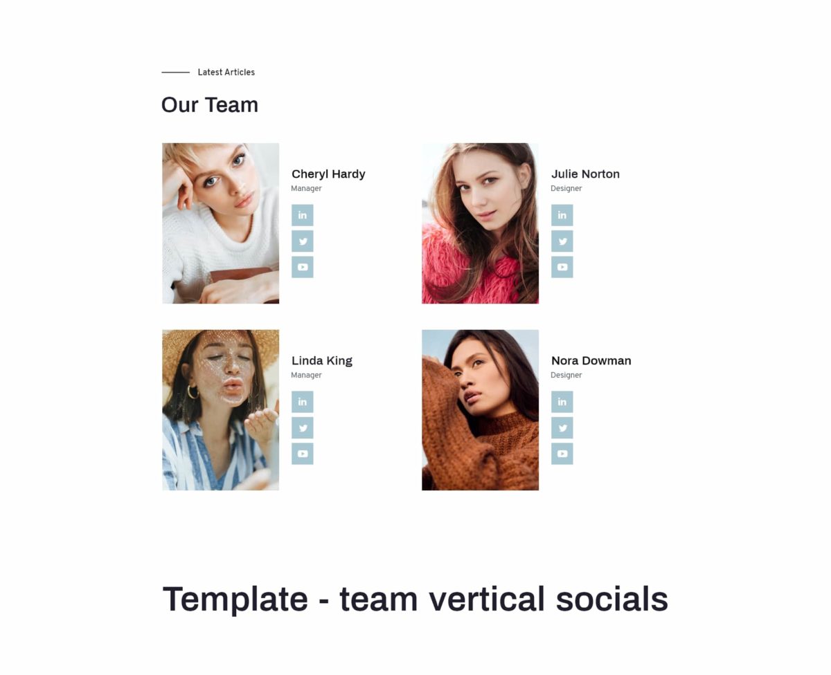 Block - team vertical socials